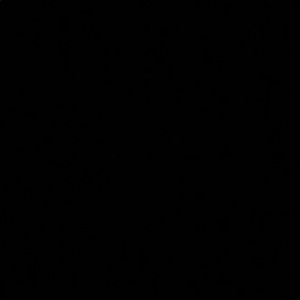 Meet your Posher, Francine